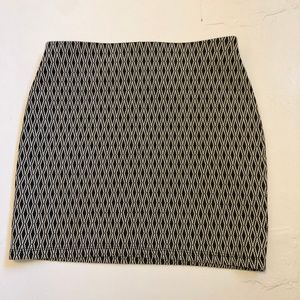 Zara/Trafaluc Fall Winter Collection Mini Skirt S